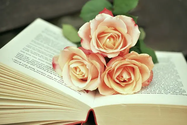Top Motivational Books for Self-Improvement